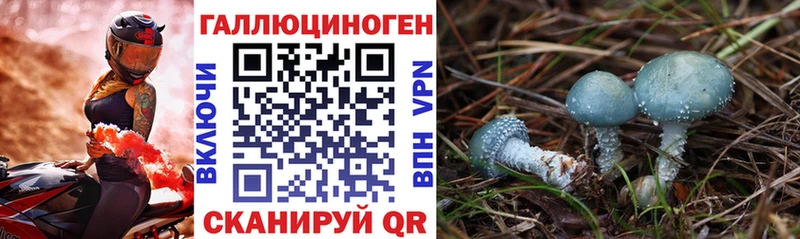 Псилоцибиновые грибы ЛСД  Купить закладки  Заинск 